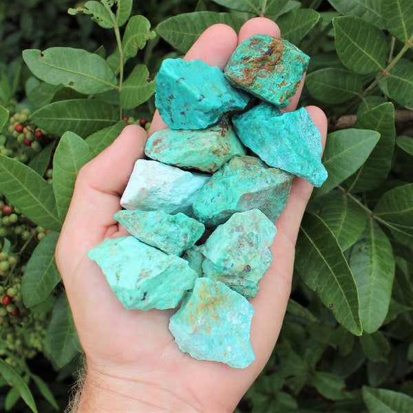 Turquoise Rough Natural Gemstones, Premium Grade Lots: Choose How Many Pieces (Premium Quality 'A' Grade)