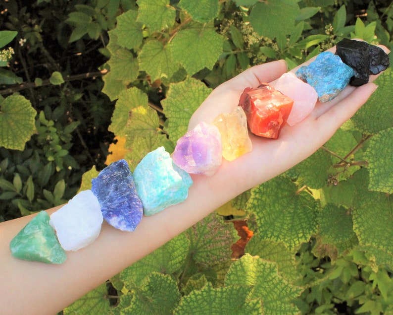 10 Different Natural Rough Stones lined up on a Hand and ending just before the elbow. Each Stone is a different Crystal making up a combination of Best Selling and Most Popular natural Rough Stones. Trees in the background.