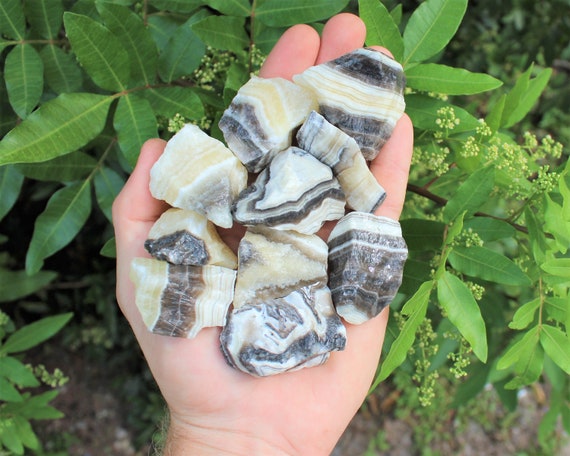 Zebra Calcite Rough Natural Stones: Choose How Many Pieces (Premium Quality 'A' Grade)