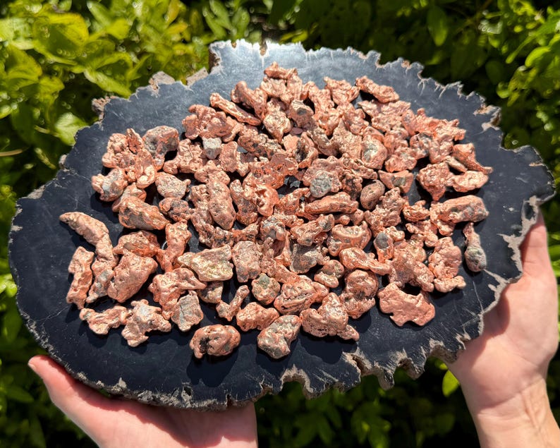 May include: A collection of raw, metallic copper nuggets with irregular, textured shapes and a reddish-orange hue, displayed on a flat, dark, jagged-edged slab of petrified wood that features a smooth, matte black surface with natural gray edges.