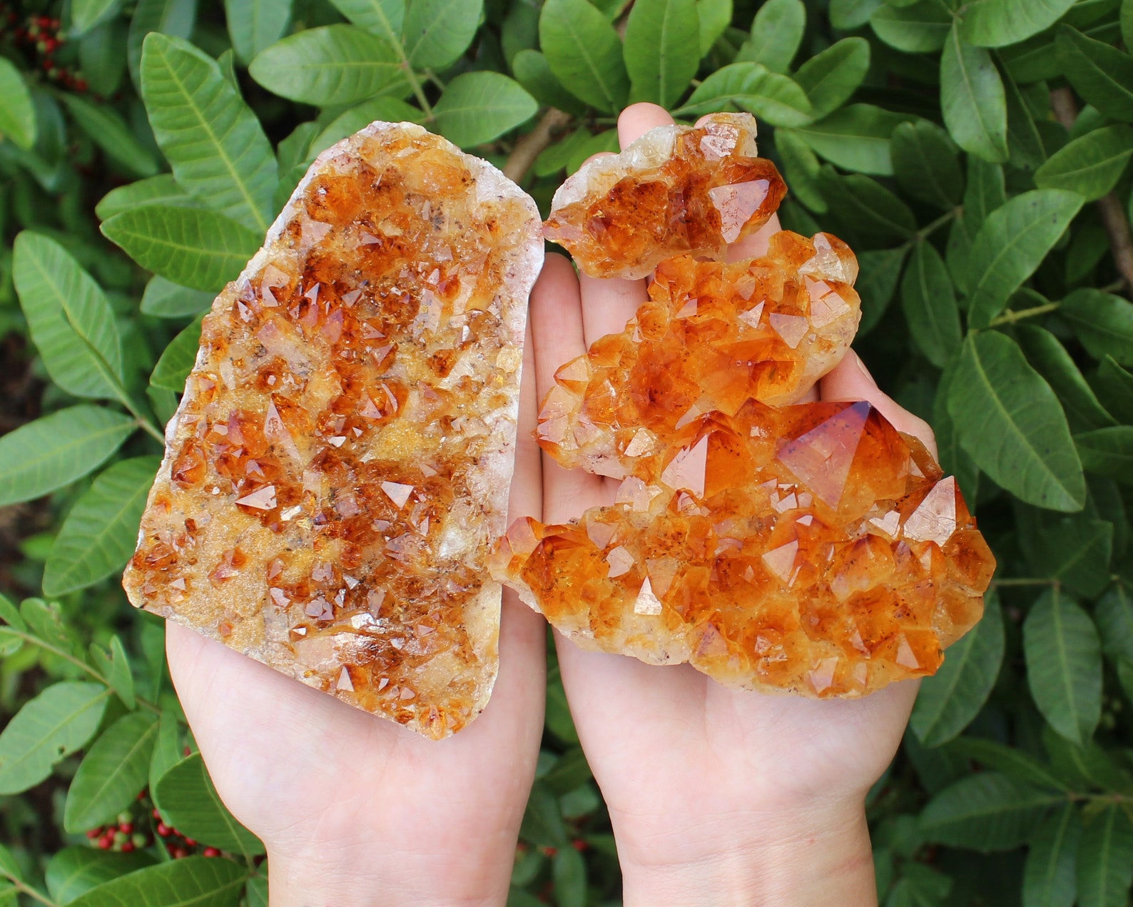 Golden citrine crystal clusters resting on a hand, energizing Gemini with positivity and creative power.