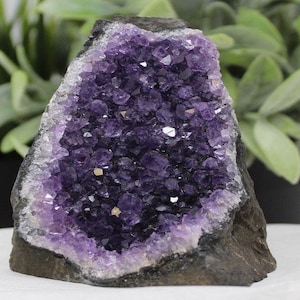 Stunning VERY LARGE Amethyst Cut Base Clusters, Crystal Quartz Geodes: 1 lb - 1.8 lb (A Grade, Uruguayan Amethyst Free Standing Crystal)