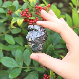 May include: A dark, metallic-looking mineral specimen with a rough, uneven surface. The mineral is held against a backdrop of green foliage and red berries, creating a natural contrast. The stone appears to have a reflective quality.