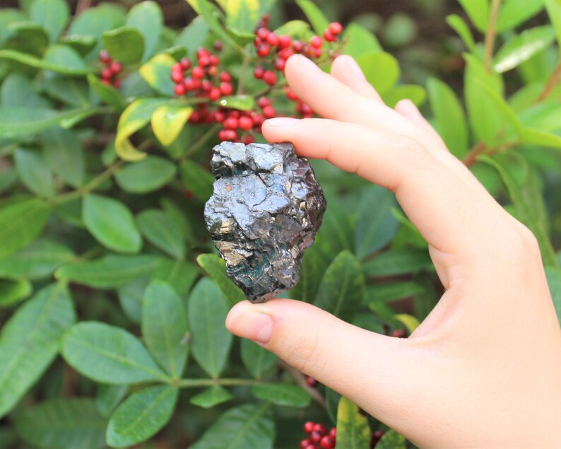 May include: A dark, metallic-looking mineral specimen with a rough, uneven surface. The mineral is held against a backdrop of green foliage and red berries, creating a natural contrast. The stone appears to have a reflective quality.