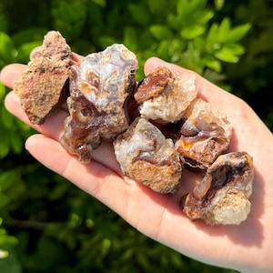 May include: A collection of five raw, unpolished agate stones featuring earthy tones of brown, tan, and cream with translucent, crystalline quartz-like inclusions. The stones have irregular, jagged edges and a rough, natural mineral texture.