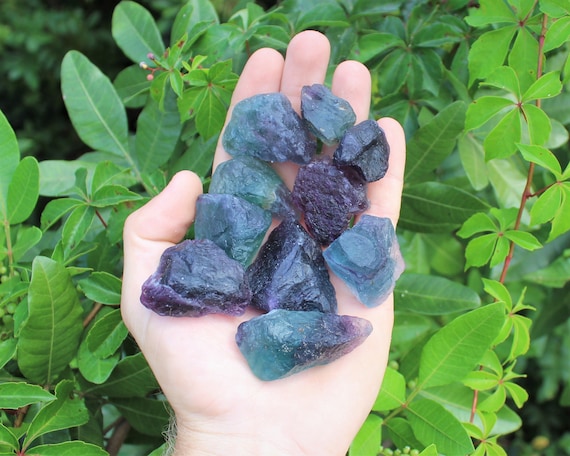 Fluorite Raw Natural Stones: Choose How Many Pieces (Premium Quality 'AAA' Grade)