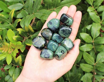 Kambaba Jasper Tumbled Stones: Choose How Many Pieces ('A' Grade)