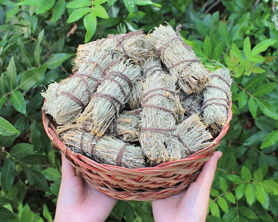 Desert Sage Smudge Wholesale Bulk Bundles, Medium: Choose 1, 2, 3, 5, 10, 20 or 50 Sticks (Sage Bundle)