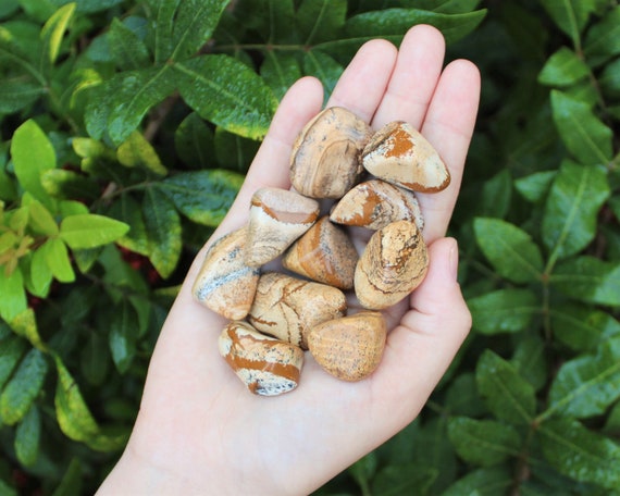 Picture Jasper Tumbled Stones: Choose How Many Pieces (Premium Quality 'A' Grade)