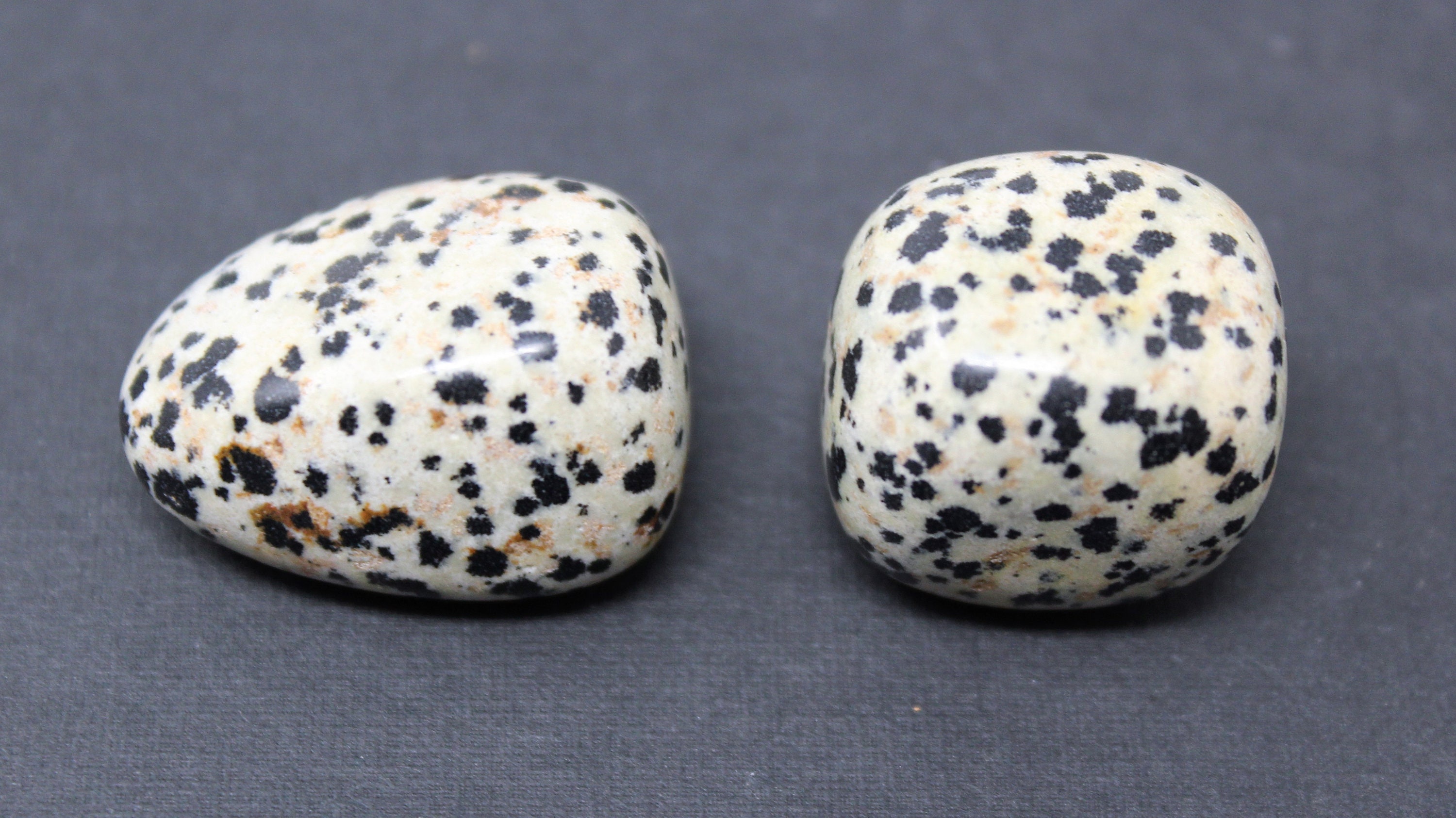 dalmation jasper jelry price dalmation jasper jelry price
