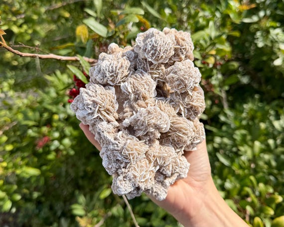 JUMBO Natural Rough Desert Rose Clusters - Choose Size ('A' Grade Natural Raw Selenite Rose Crystals From Mexico)