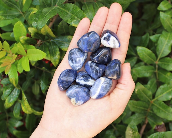 Sodalite Tumbled Stones: Choose How Many Pieces (Premium Quality 'A' Grade)