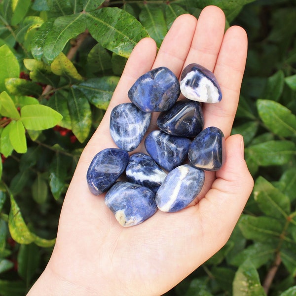 Sodalite Tumbled Stones: Choose How Many Pieces (Premium Quality 'A' Grade)