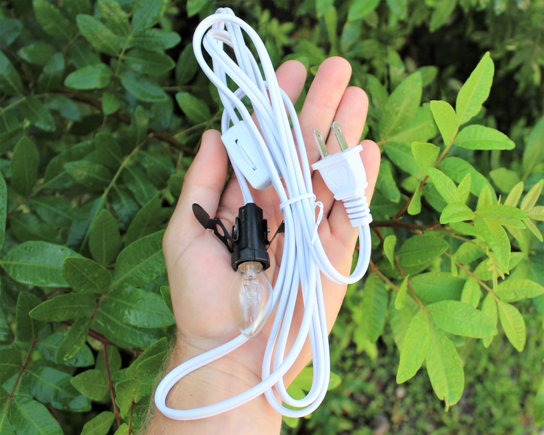 May include: A white electrical cord with a black bulb socket, a clear light bulb, and a white on/off switch. The cord also has a white plug. The cord is held in a hand against a background of green leaves.