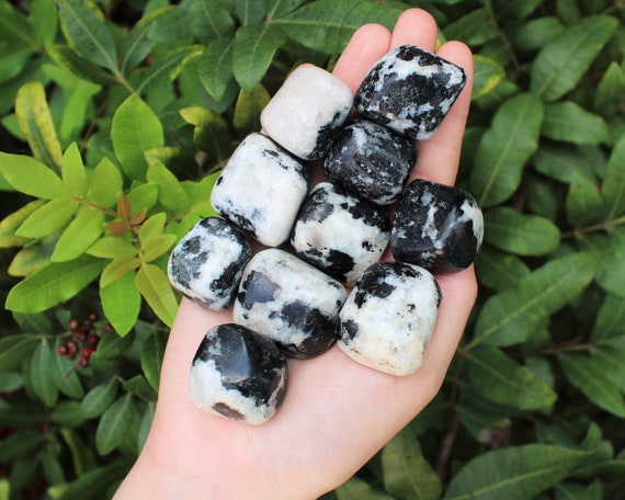 Quartz with Tourmaline Tumbled Stones: Choose How Many Pieces (Premium Quality 'A' Grade)