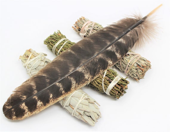 Sage Bundle - White Sage, Blue Sage, & Cedar PLUS Smudging Feather (Set of 3 Smudge Sampler, House Cleansing)