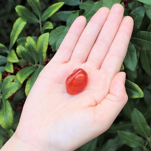 Carnelian Tumbled Stones: Choose How Many Pieces Premium Quality 'A' Grade 1