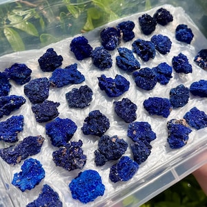 Vibrant Azurite Crystal Clusters - &#39;AAA&#39; Grade Raw Azurite Mineral Specimens (Deep Blue Premium Quality Natural Azurite Stones From Morocco)