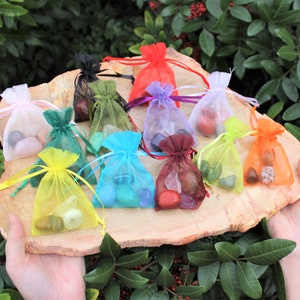Pisces Zodiac Crystal Kit, 4 Birthstones in an Organza Pouch: You Choose Rough or Tumbled Stones, or Both Crystal Gift Kits image 9