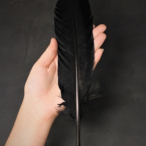 Black Turkey Feather for Smudging, Fanning, etc