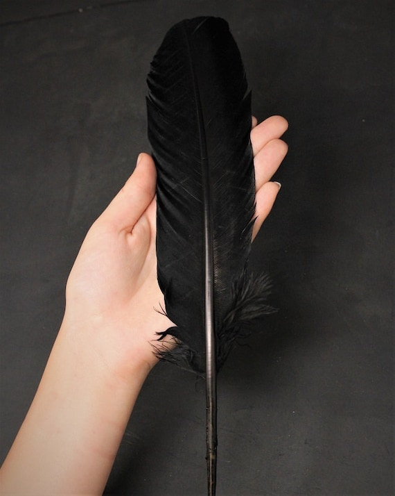 Black Turkey Feather for Smudging, Fanning, etc
