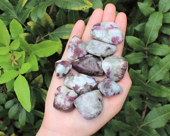 Pink Tourmaline Tumbled Stones: Choose How Many Pieces (Premium Quality 'A' Grade, Tumbled Pink Tourmaline Crystals)