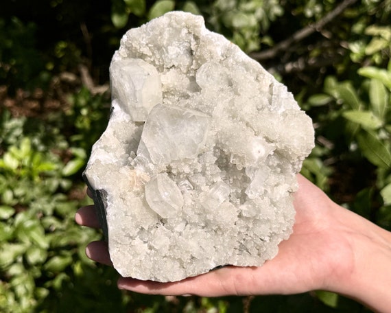 Apophyllite & Zeolite Crystal Cluster - EXACT SPECIMEN Shown (AAA Grade Premium Quality Natural Apophyllite Cluster with Inclusions, SB11)