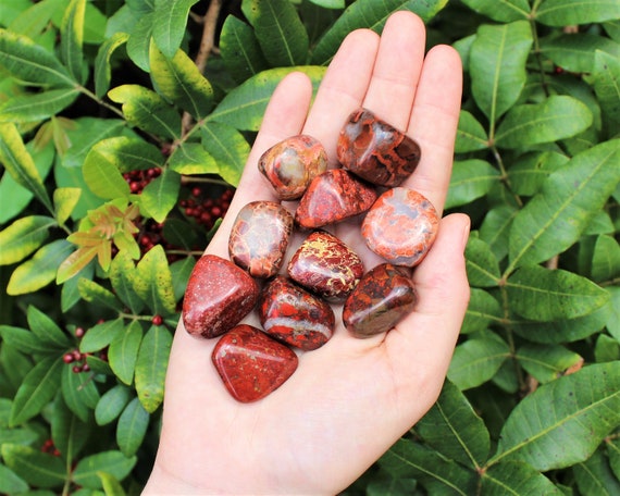 Brecciated Jasper Tumbled Stones: Choose How Many Pieces (Premium Quality 'A' Grade)