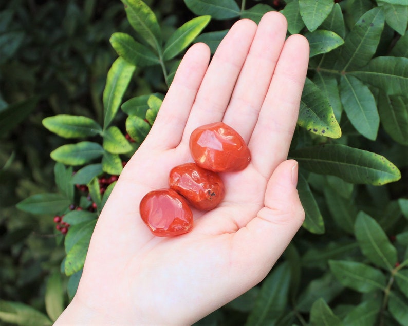 Carnelian Tumbled Stones: Choose How Many Pieces Premium Quality 'A' Grade 3