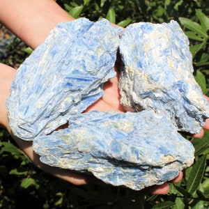 JUMBO Blue Kyanite with Quartz Crystals, High Quality Natural Specimens - Choose Size (Premium Quality &#39;A&#39; Grade, Blue Kyanite Crystals)