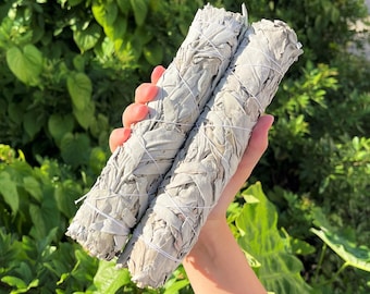 JUMBO 9" White Sage Smudge Bundles - Choose How Many - Natural Dried Herb Bundles