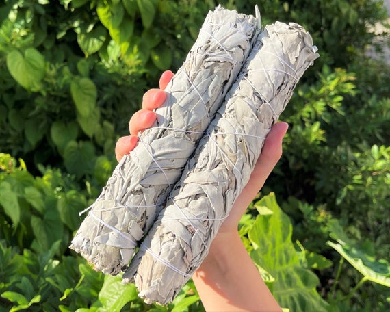 JUMBO White Sage Smudge Bundles - 2 Pack Bulk Lot + Directions (9" White Sage Sticks, Smudge Stick)