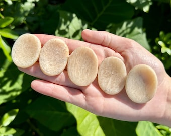 Moonstone Worry Stone - Choose How Many (Smooth Polished Moonstone Crystal Palm Stones)