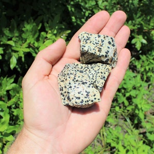 Dalmation Jasper Rough Natural Stones: Choose Ounces or lb Bulk Wholesale Lots Premium Quality 'A' Grade image 7