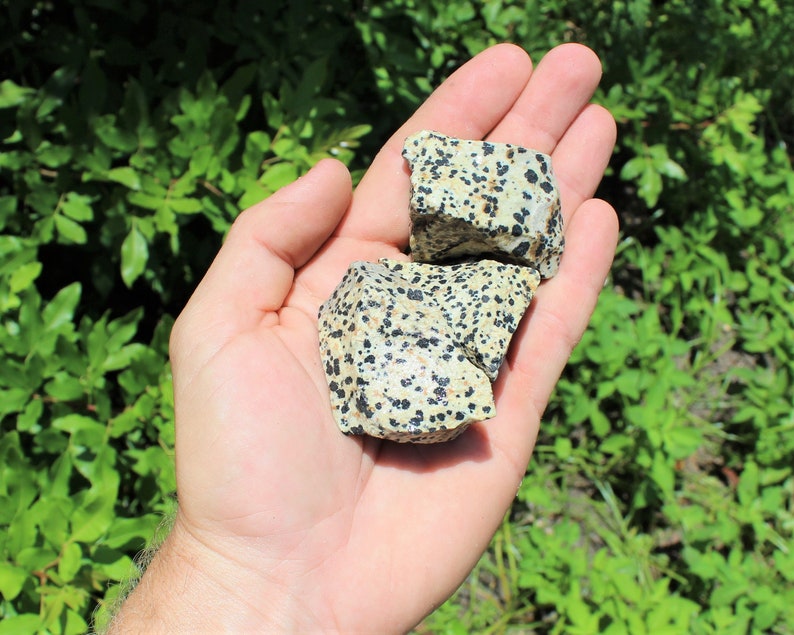 Dalmation Jasper Rough Natural Stones: Choose Ounces or lb Bulk Wholesale Lots Premium Quality 'A' Grade image 7