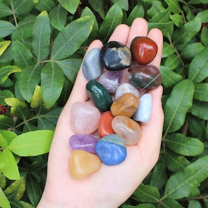 Assorted Mixed Tumbled Stones MEDIUM 1/4 lb Wholesale Bulk Lot