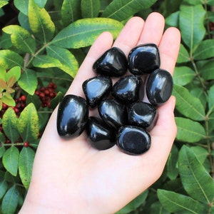 May include: A handful of polished, black obsidian stones. The smooth, rounded stones are held in a hand, with green foliage in the background. The stones have a glossy, reflective surface.