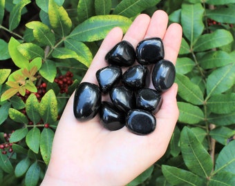 May include: A handful of polished, black obsidian stones. The smooth, rounded stones are held in a hand, with green foliage in the background. The stones have a glossy, reflective surface.