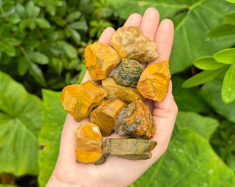 Kabamby Ocean Jasper Rough Natural Stones: Choose How Many ('A' Grade Sea Jasper Crystals)