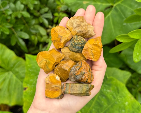 Kabamby Ocean Jasper Rough Natural Stones: Choose How Many Pieces (Premium Quality 'A' Grade Oean Jasper Crystals)