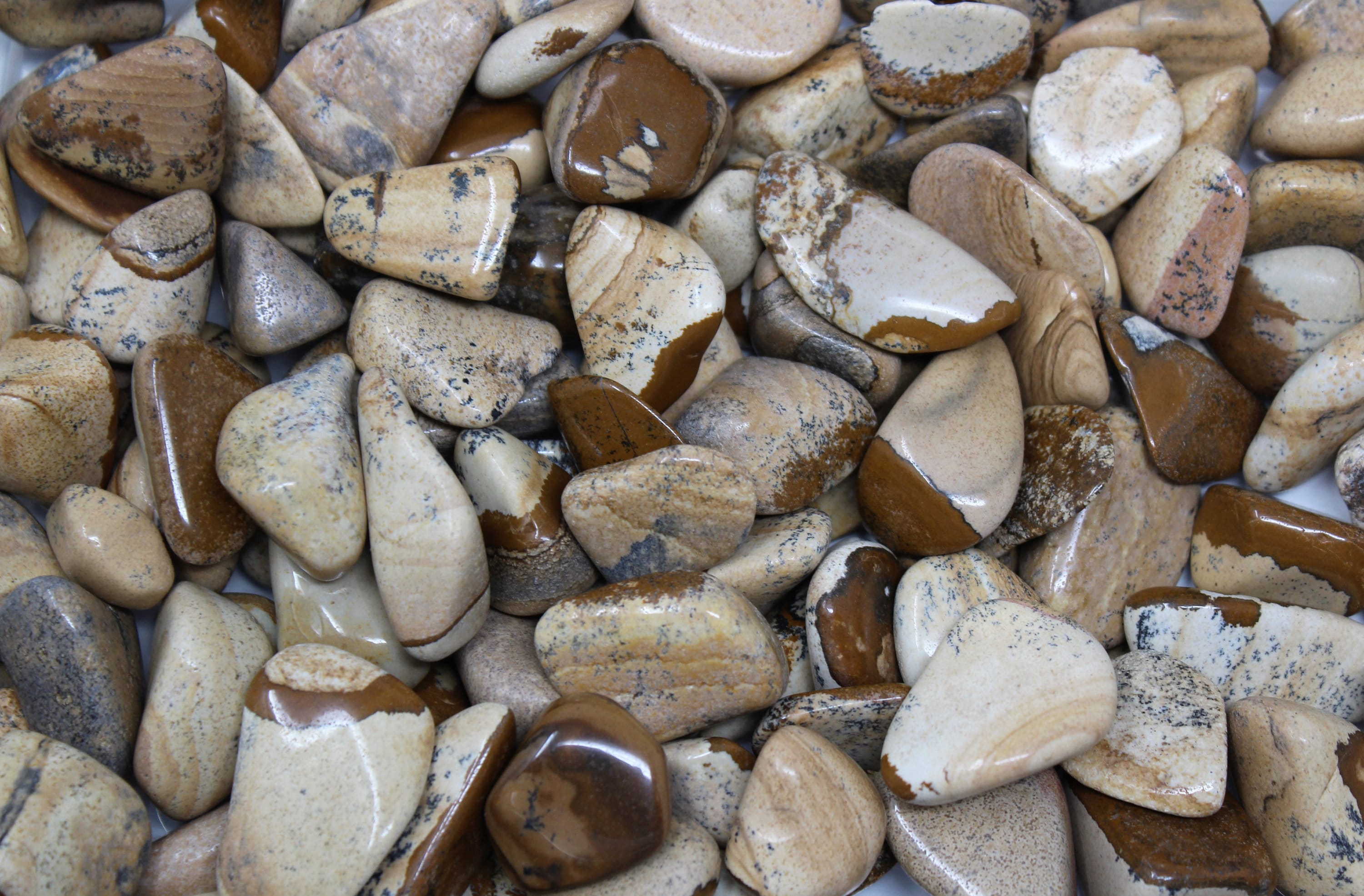 Picture Jasper Tumbled Stones: Choose How Many Pieces ('A' Grade