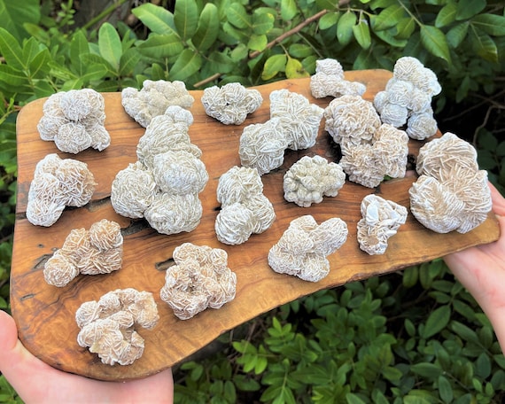 LARGE Desert Rose Cluster - Choose Size (Premium Quality 'A' Grade Natural Desert Rose Crystals, Gypsum Rose, Raw Selenite Rose Crystal)
