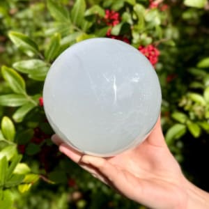 May include: A translucent, white selenite sphere. The crystal ball is held in a hand, with a blurred green and red background of foliage. The sphere is smooth and round, with subtle internal veining.