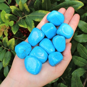 Blue Howlite Tumbled Stones: Choose How Many Pieces (Premium Quality 'A' Grade)