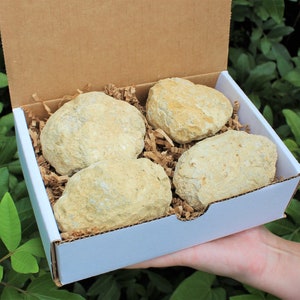 Caja de regalo "Rompe tus propias geodas": 4 piezas GRANDES (geodas de cuarzo cristalino marroquí de grado A, sin abrir, geodas de cristal, geodas al por mayor)