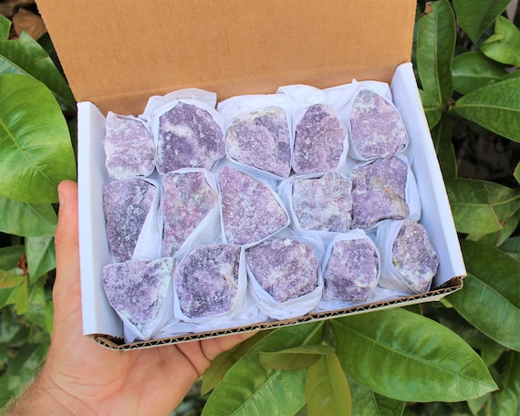 Lepidolite Premium Rough Specimen Box: 10 or 15 Pieces ('AAA' Premium Grade Lepidolite Crystals)