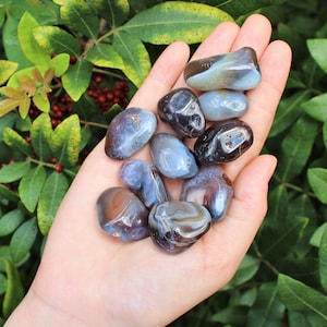 May include: A collection of eight tumbled agate stones in shades of gray, brown, and white. The stones are smooth and polished, with a variety of patterns and textures.