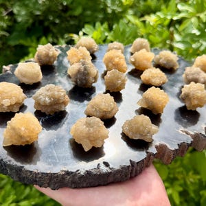 May include: A collection of small, golden-brown, crystalline mineral clusters arranged on a flat, polished black stone slab with a rough, natural edge. The crystals have a textured, multi-faceted surface and are scattered across the dark base.