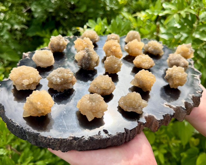May include: A collection of small, golden-brown, crystalline mineral clusters arranged on a flat, polished black stone slab with a rough, natural edge. The crystals have a textured, multi-faceted surface and are scattered across the dark base.
