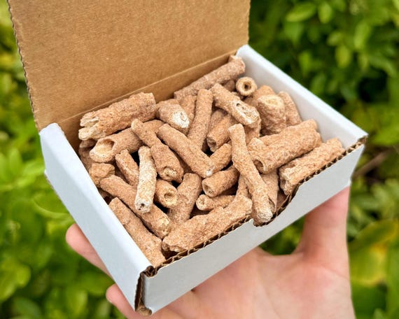 RARE Fulgurite Crystals Collection Box - 1/2 lb Natural Lightning Formed Fulgurite Specimens From Morocco
